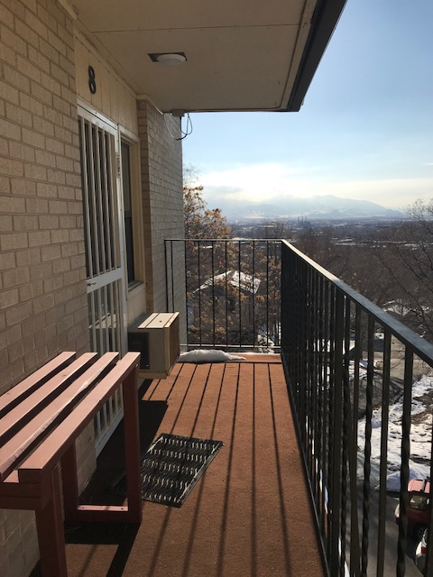 599 Darwin Street - 8